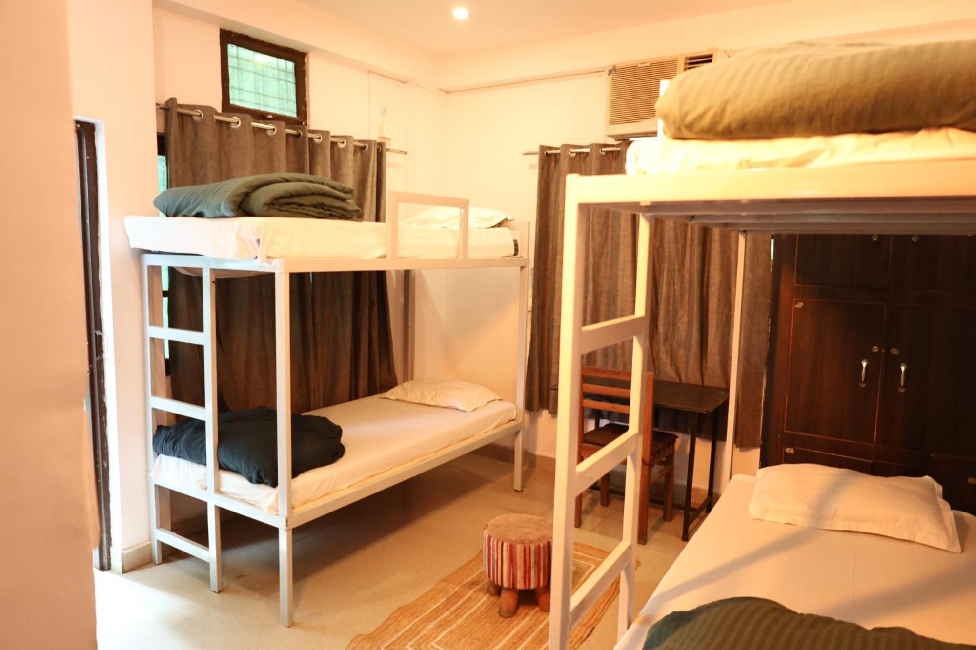 Freebird Nest Hostel Rishikesh