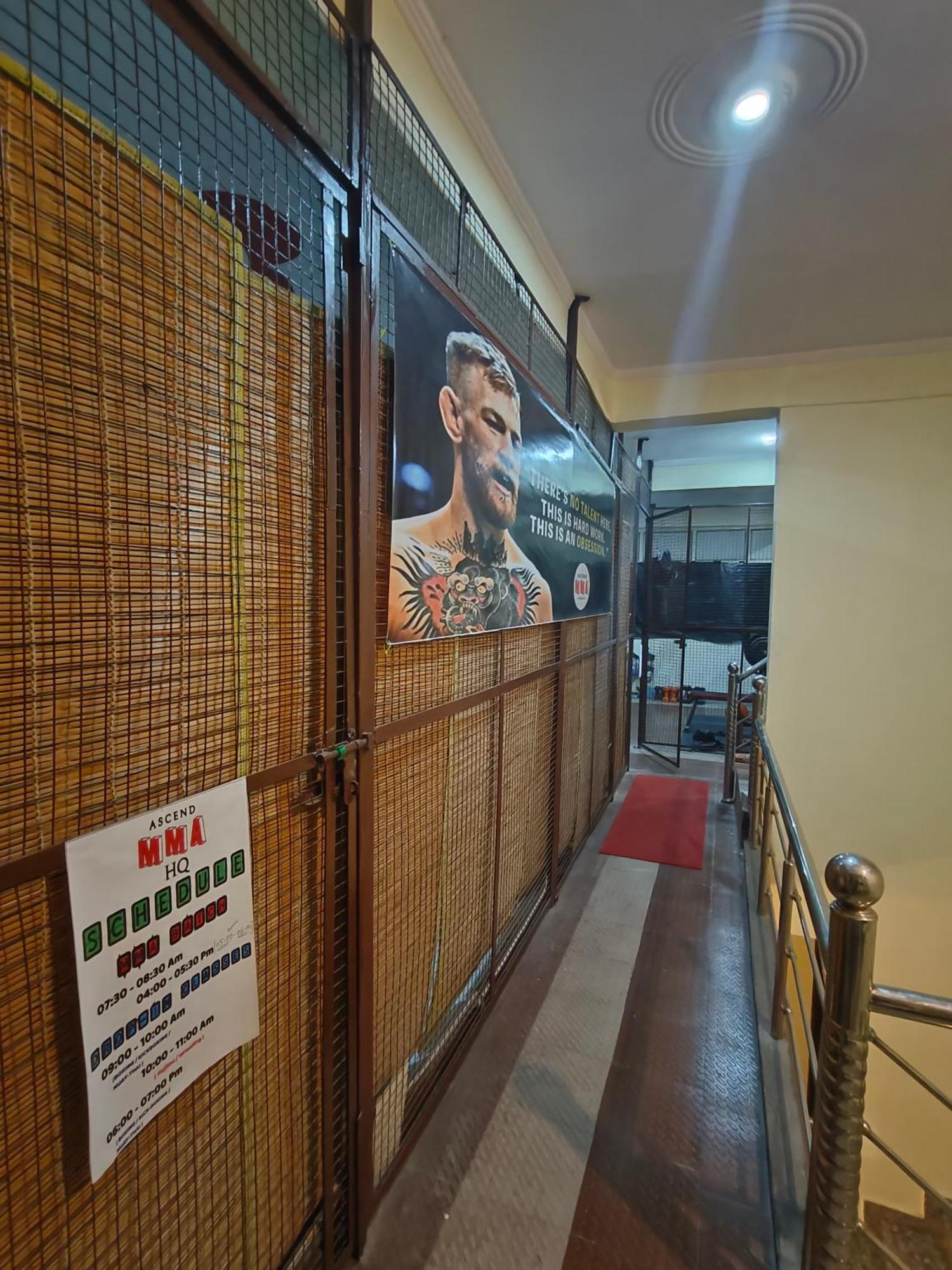 Hostel Mild Life