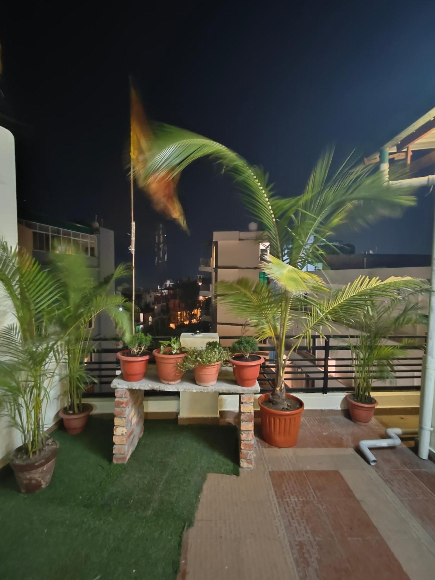 Mild Life * Rishikesh