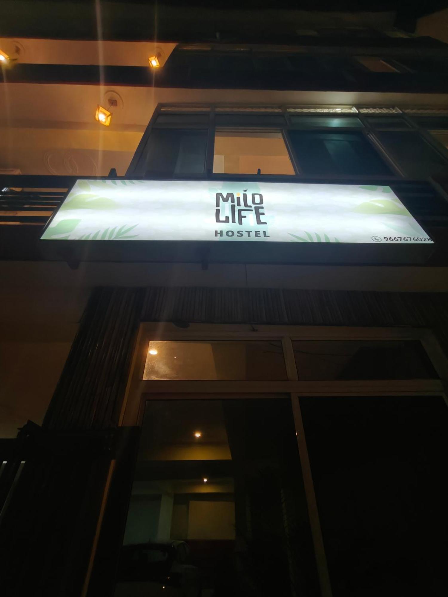 Mild Life Hostel