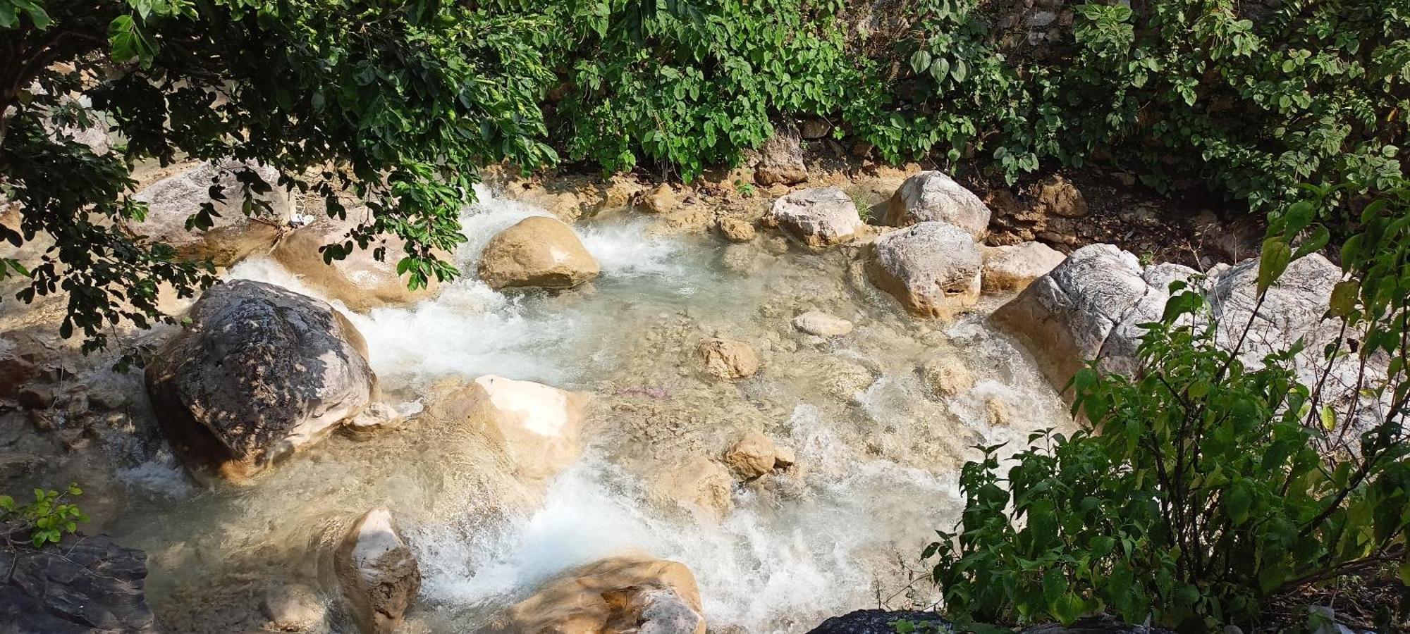 Bed & Breakfast Swami Samarpan Ashram