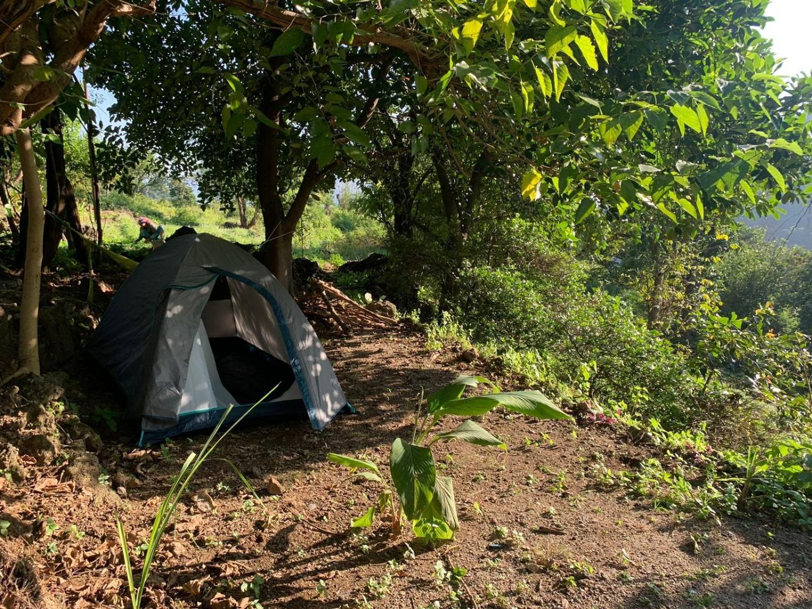 Clan Boho Hostel *