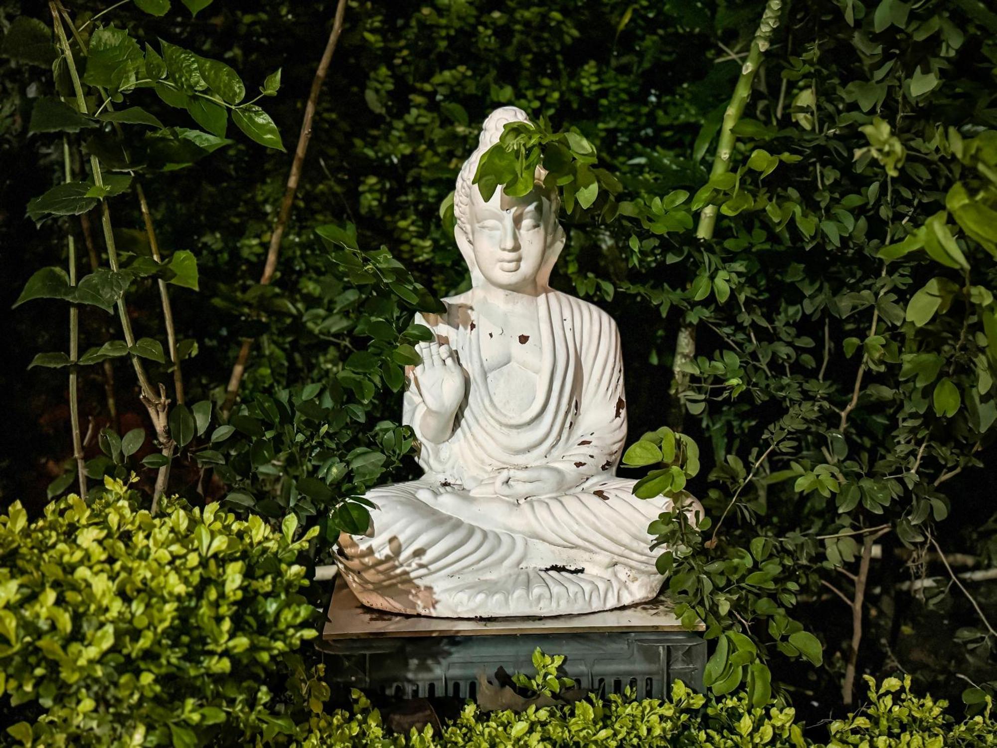 Hotel Arogyadham Wellness Retreat Rishikesh