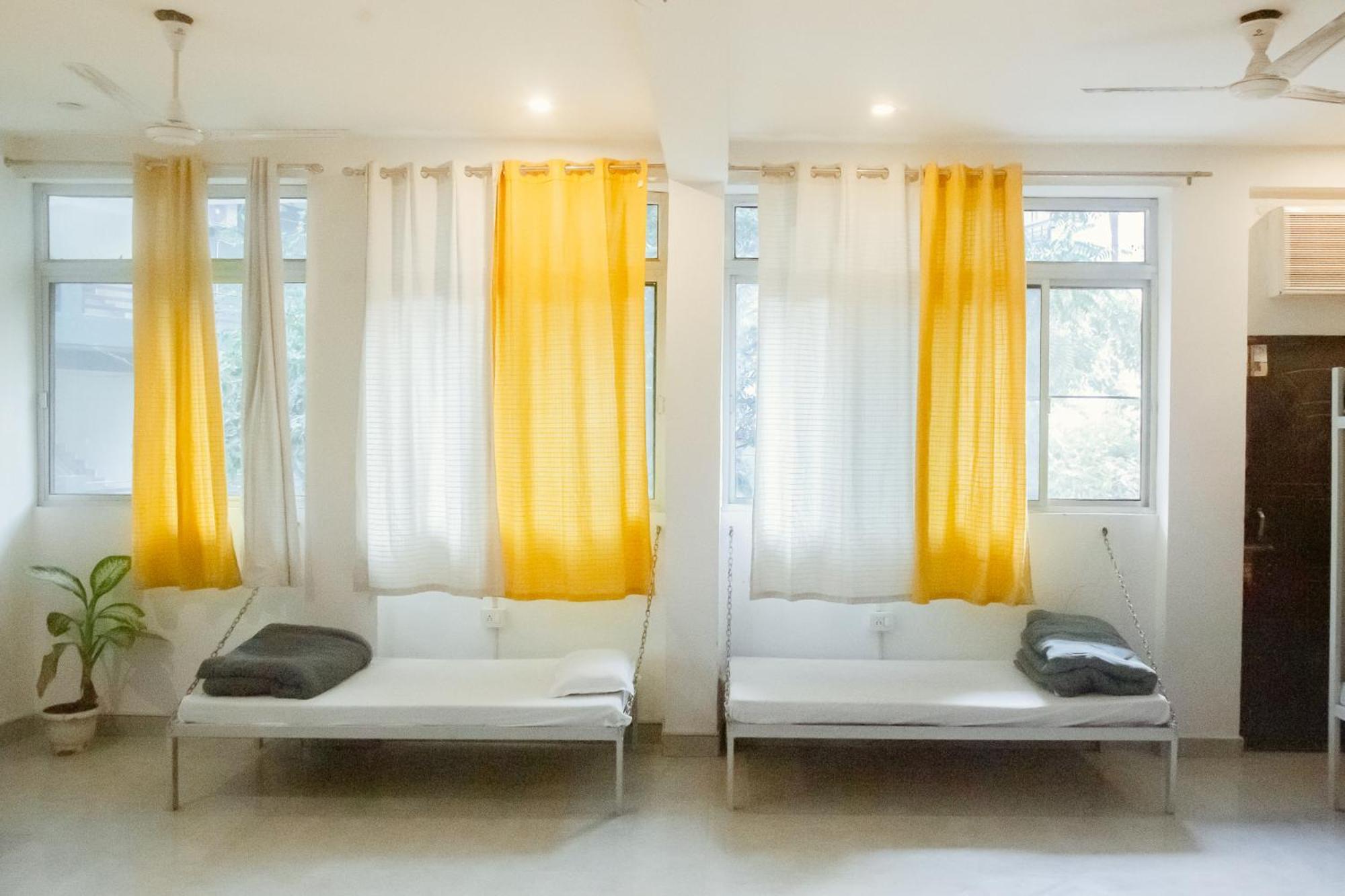 Freebird Nest Hostel
