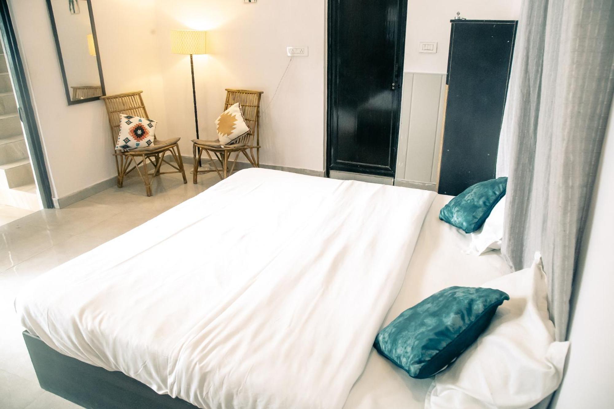 Hostel Freebird Nest