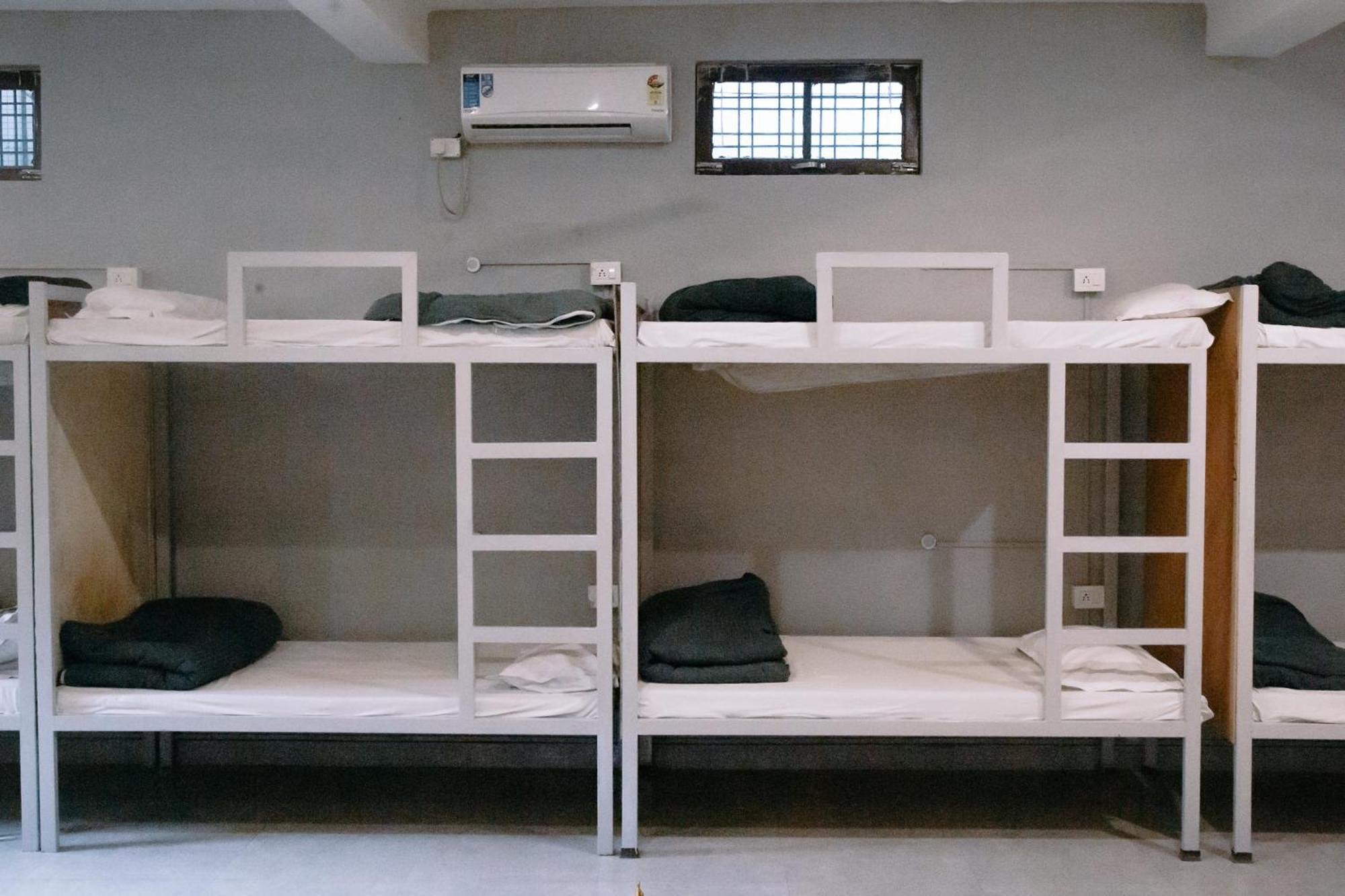 Freebird Nest Hostel