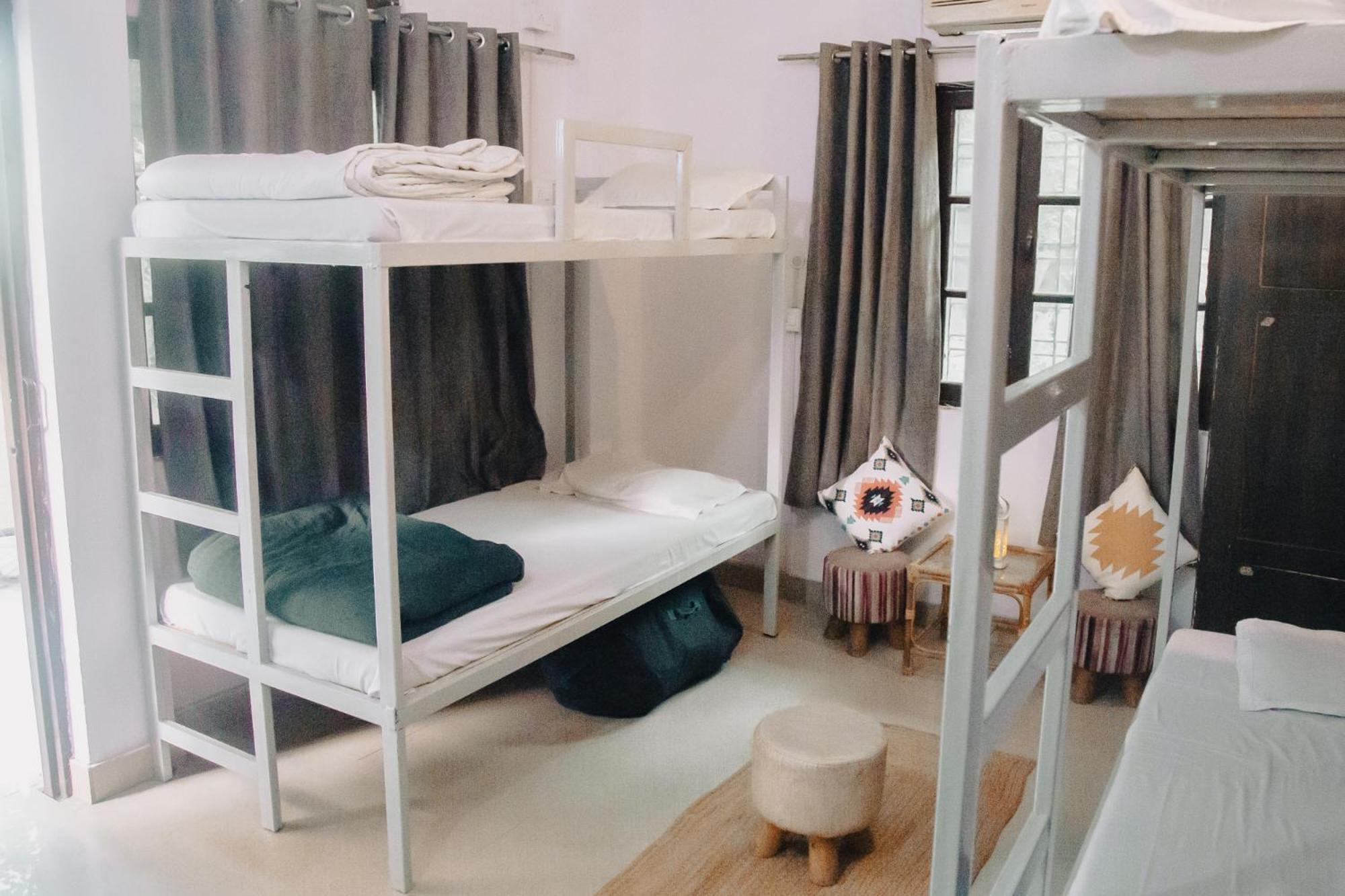 Freebird Nest Hostel
