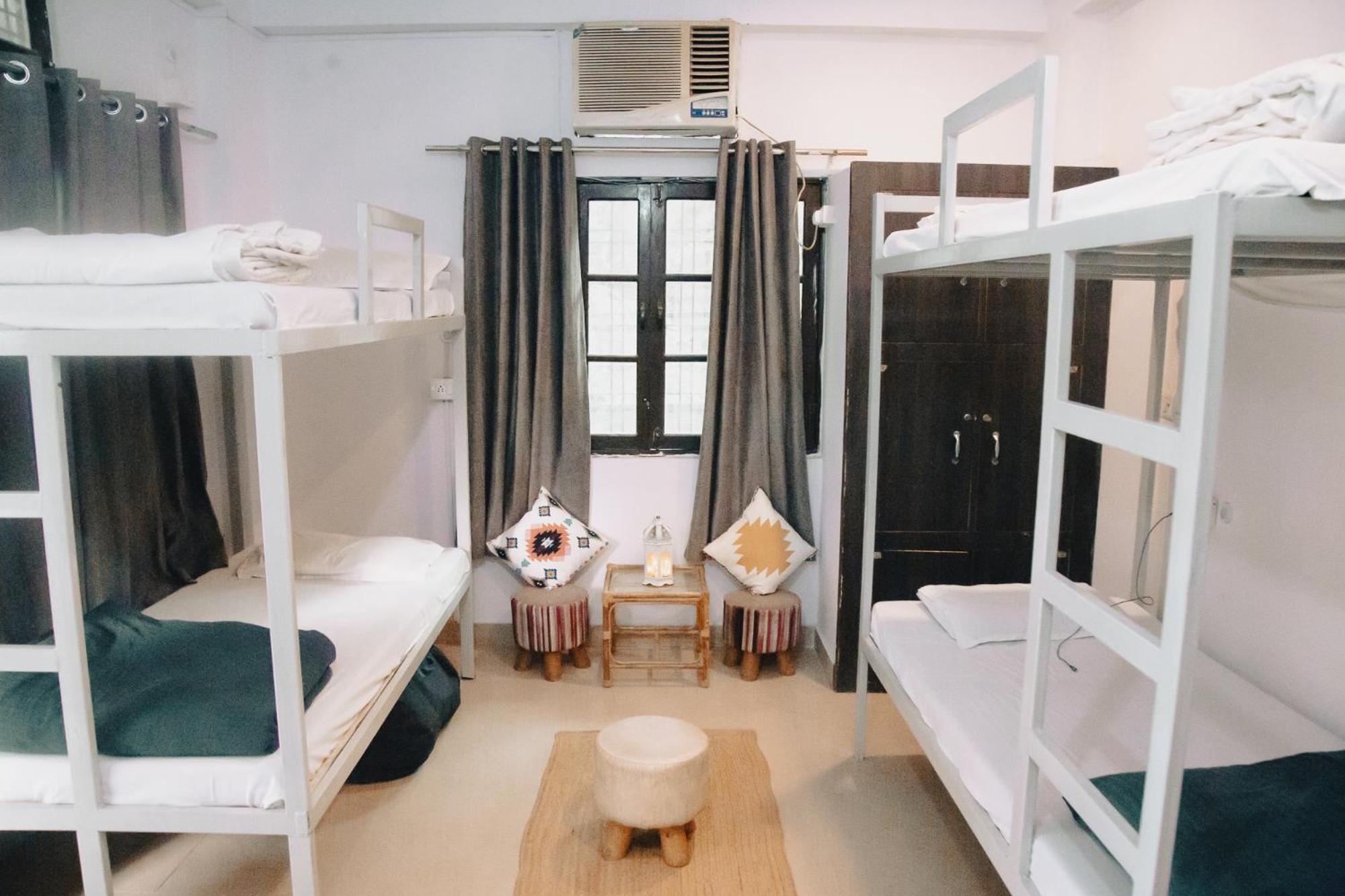 Hostel Freebird Nest *