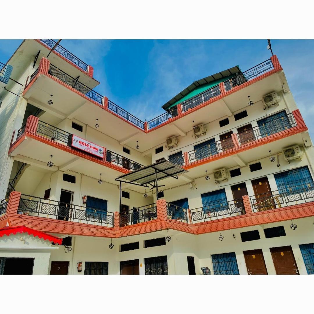 Holy Cow Guest house *