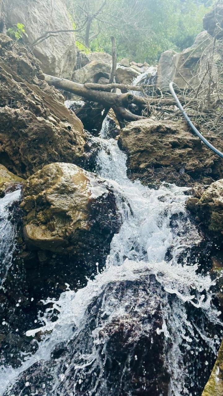 Blue Nature Rafting And * Rishikesh