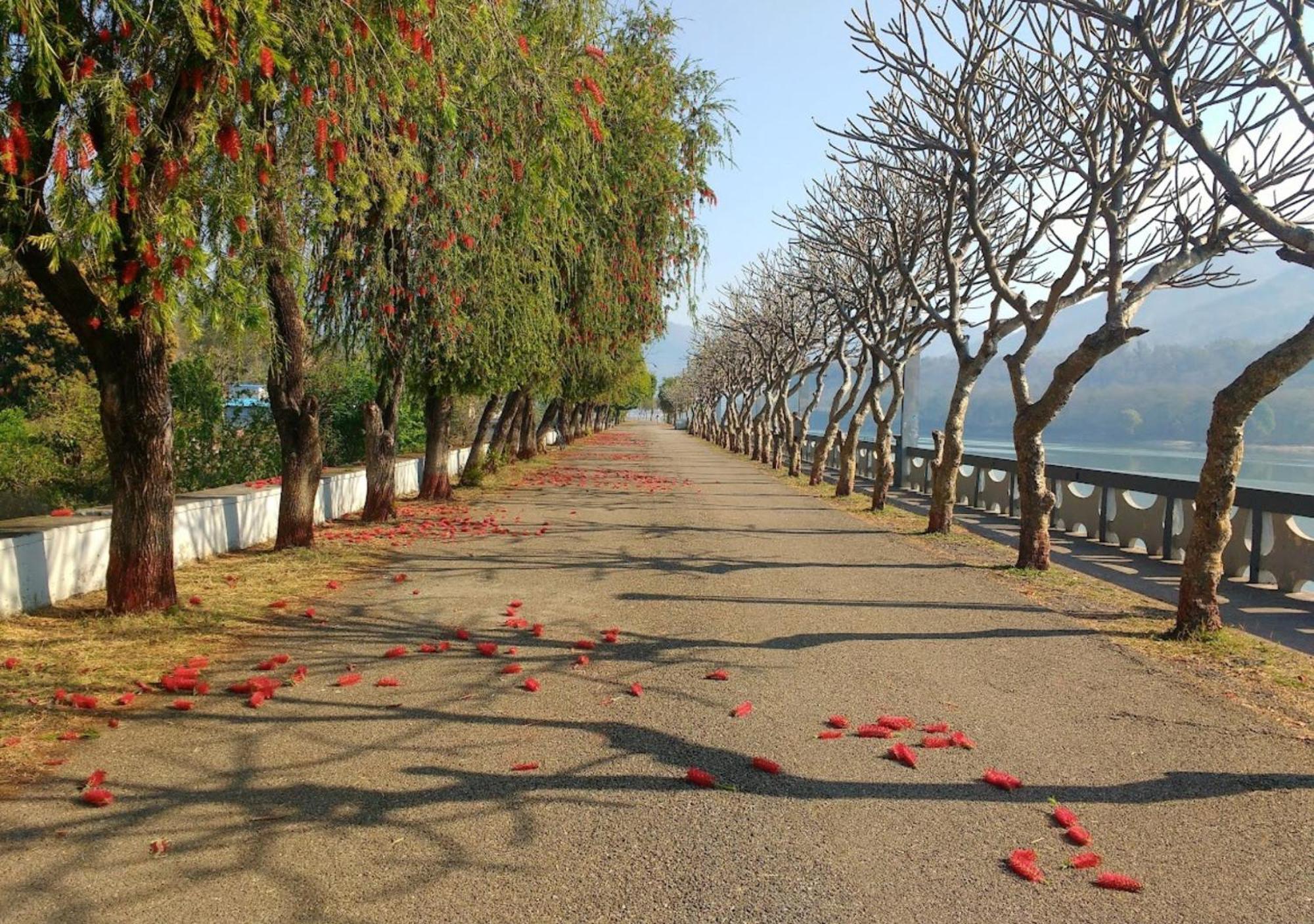 2bhk Entire In Whispering Bird *