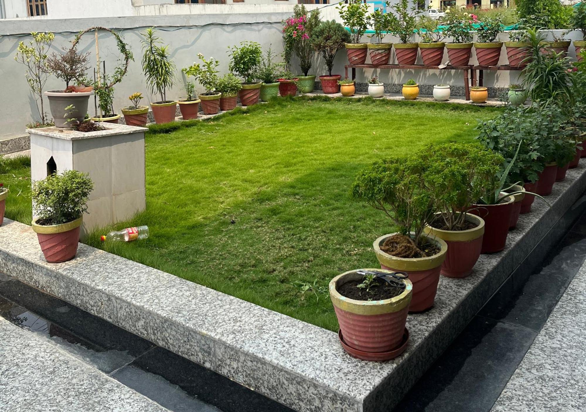 2bhk Entire In Whispering Bird Holiday home