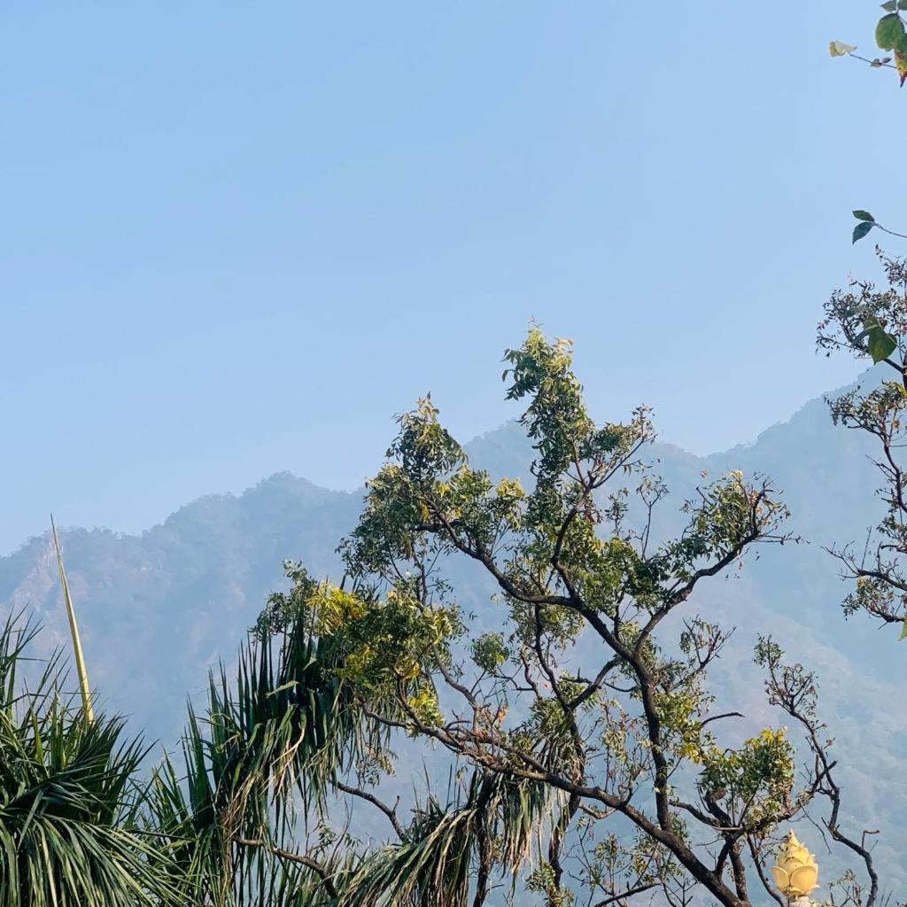 The Roxxy Royal 3* Rishikesh