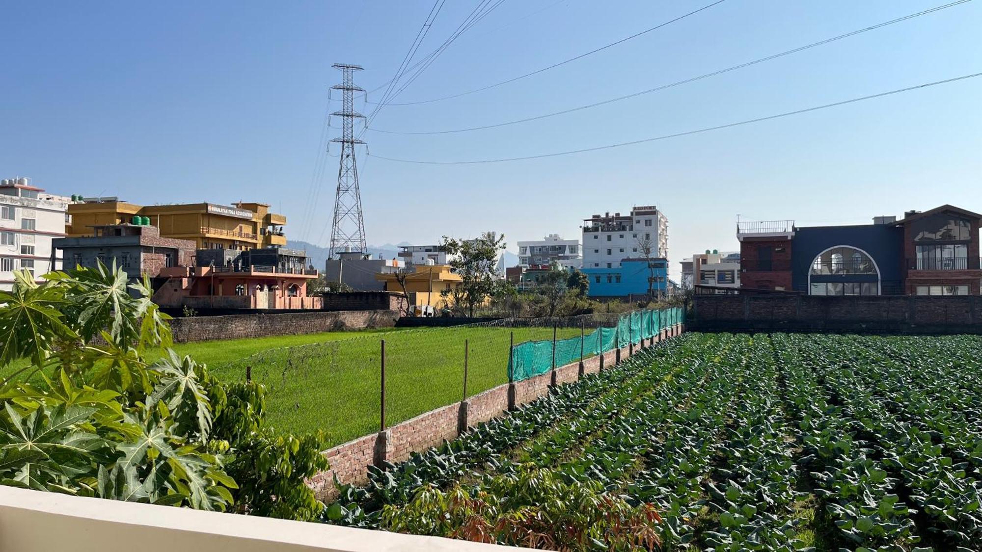 2bhk Entire In Whispering Bird Holiday home Rishikesh