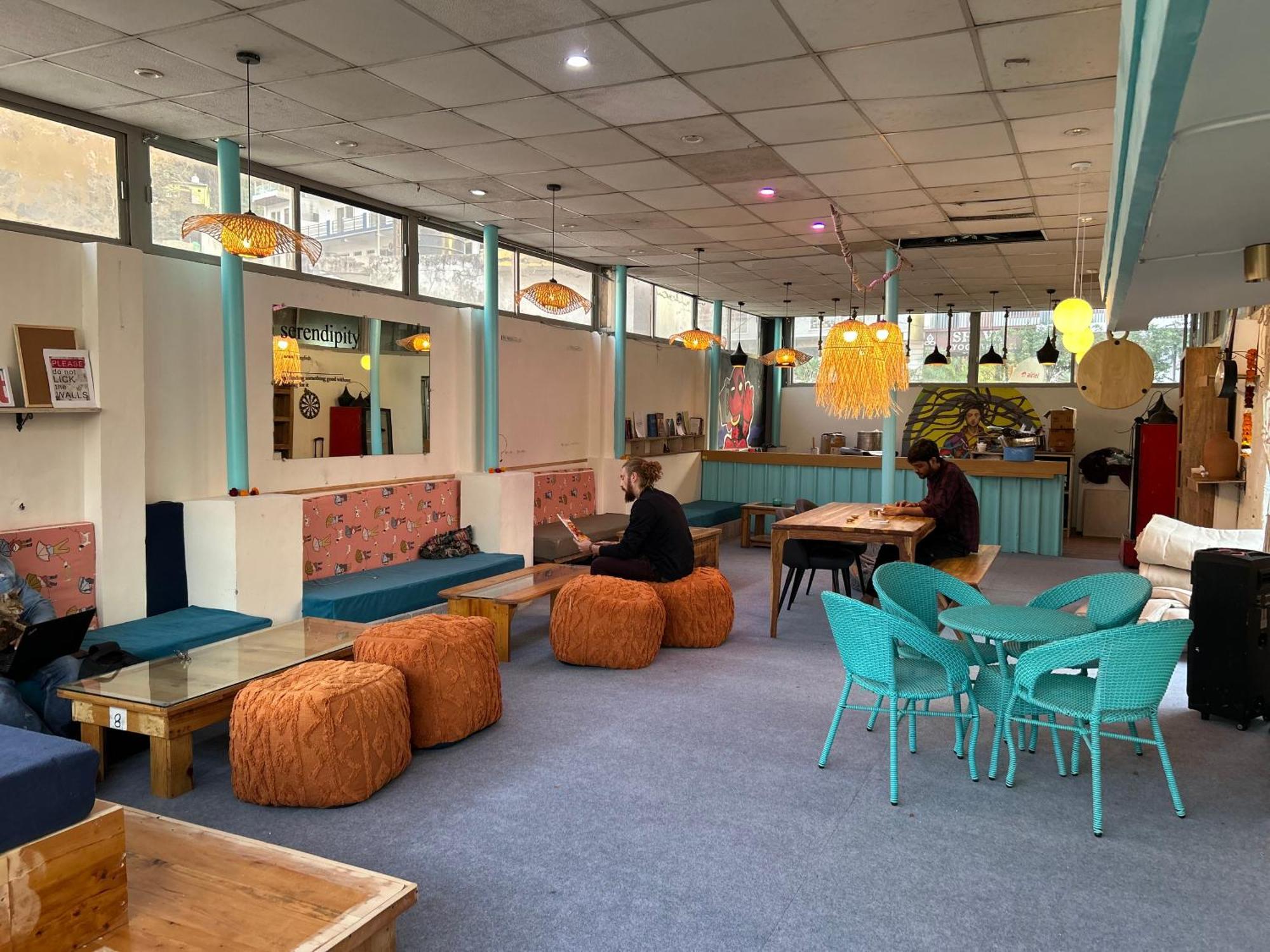 Serendipity & Cats Cafe *