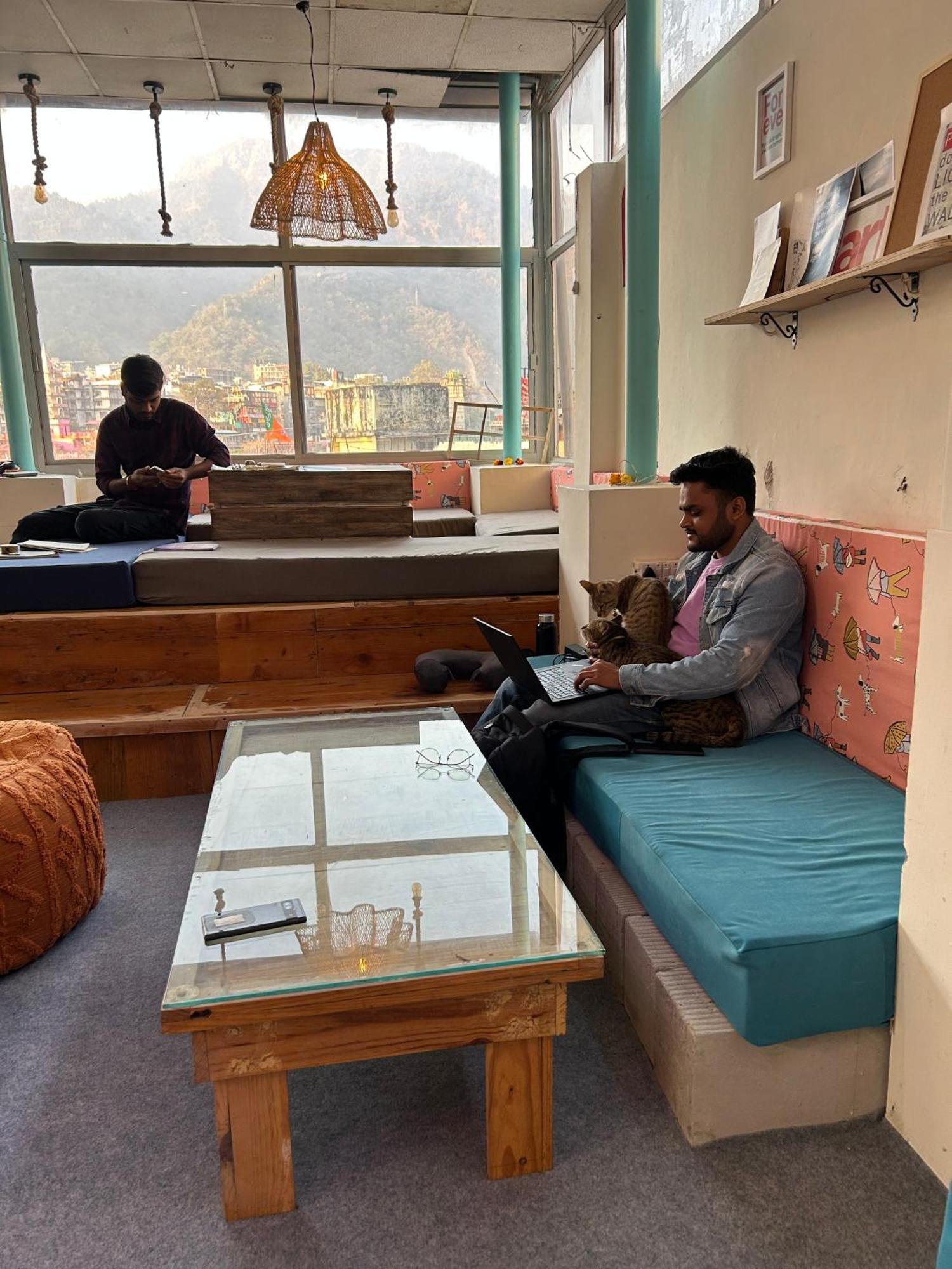 Serendipity & Cats Cafe Hostel