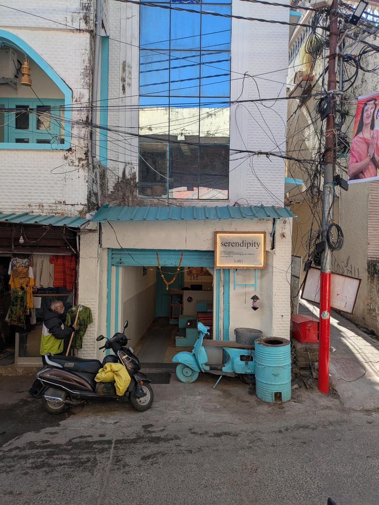 Serendipity & Cats Cafe Hostel
