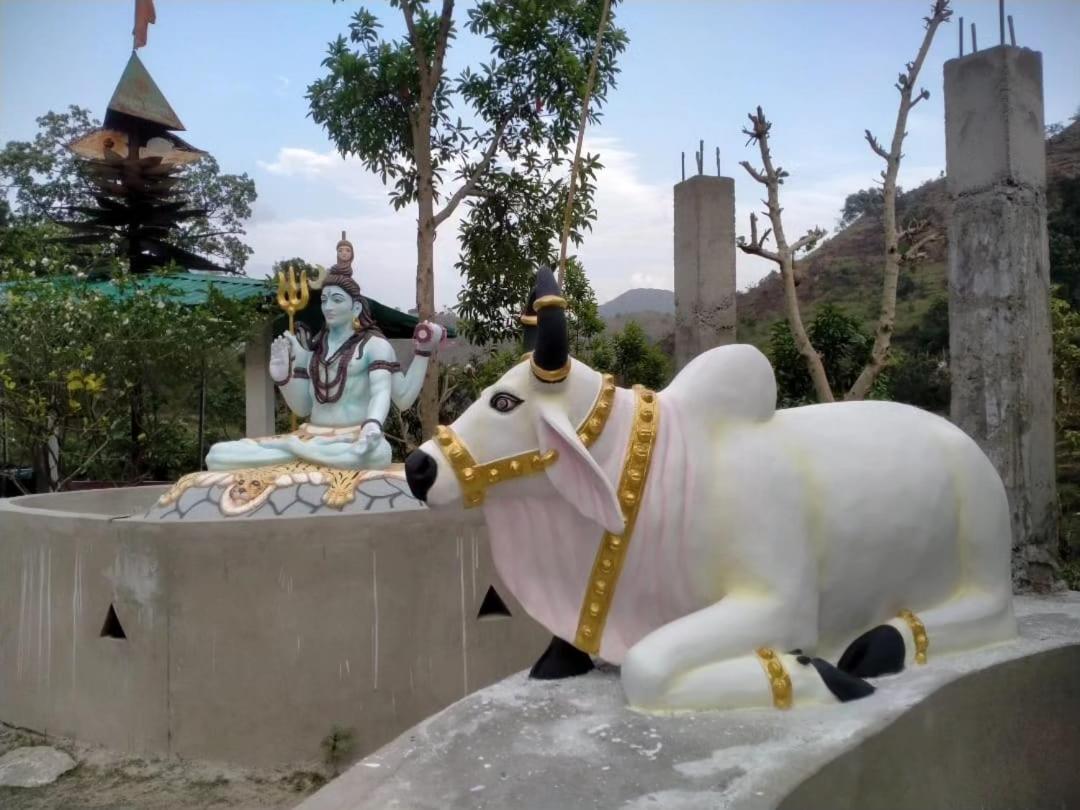 Maunvan - The Silent Forest * Rishikesh