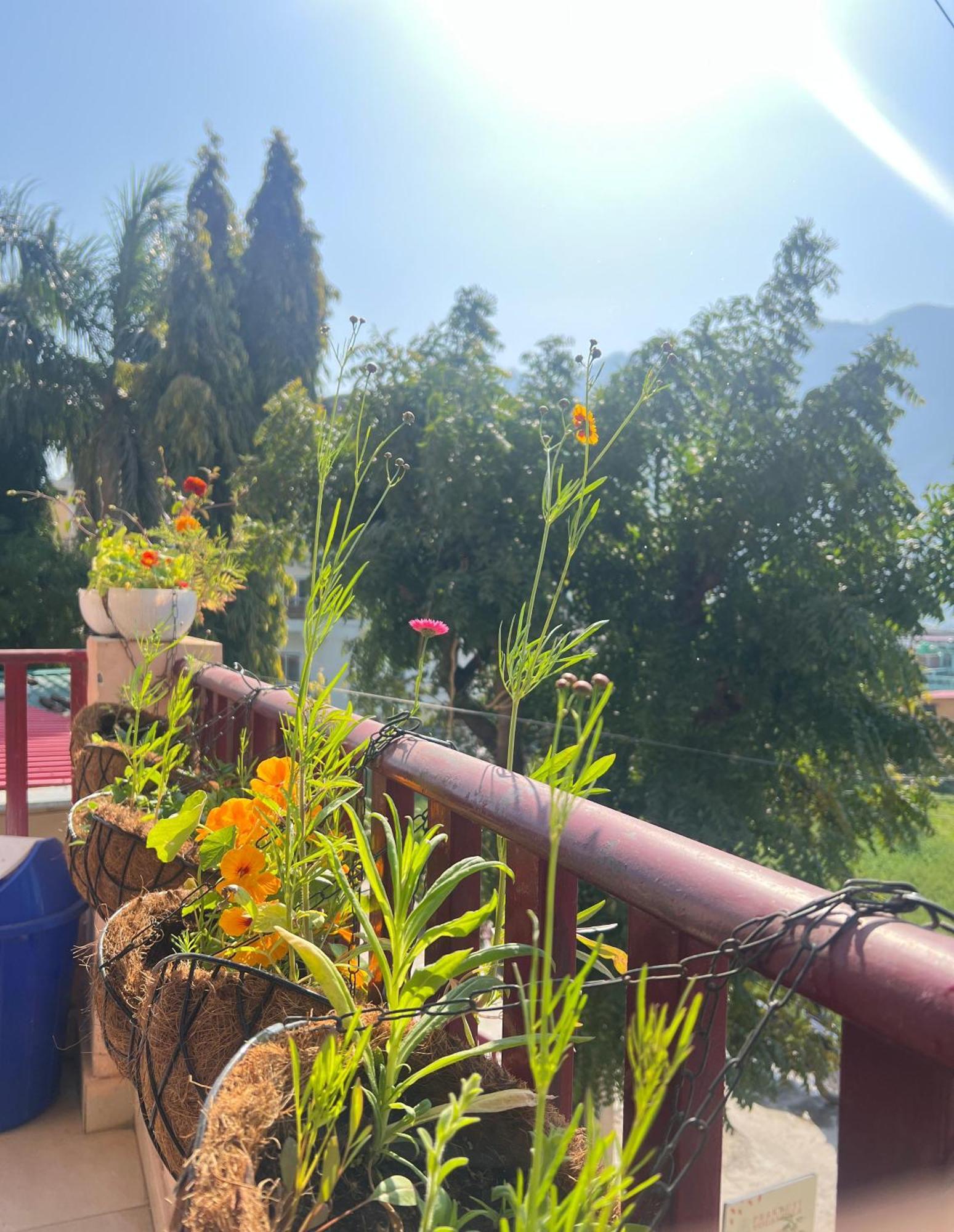 Homestay Secret