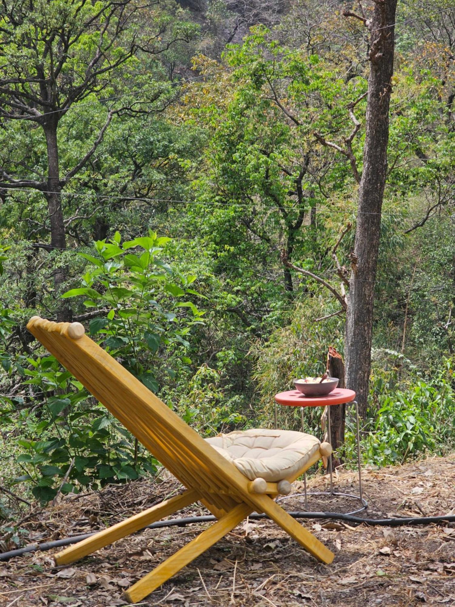 Inn Tapovan Cascades Yogvillage Rishikesh