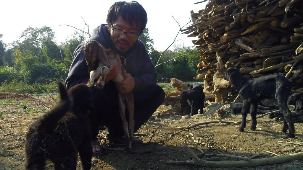 Nature Care Village- Rajaji National Park Farm stay *