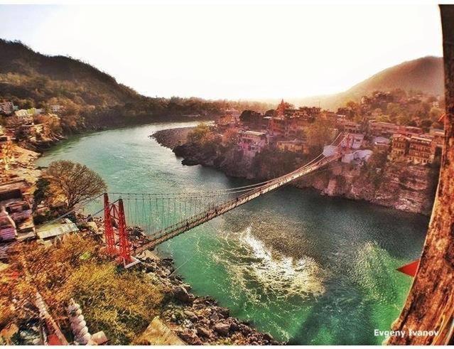 High View -