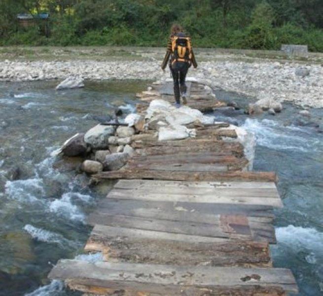 Hotel Elephant Brook Rishikesh