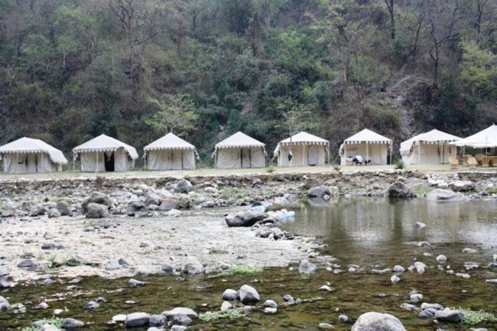 Elephant Brook 2* Rishikesh