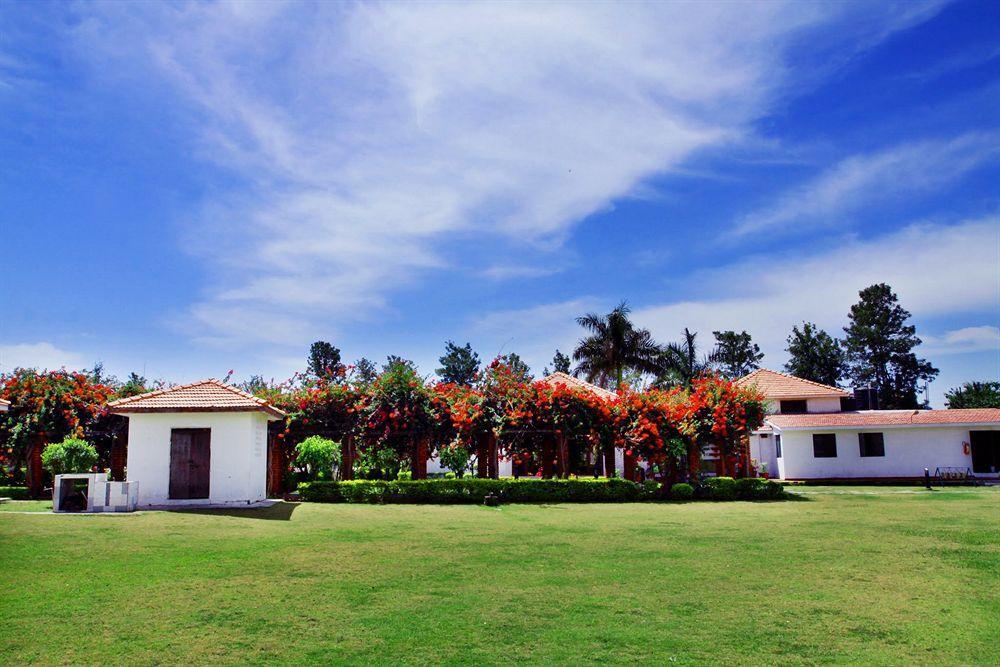 Naturoville Ayurvedic And Yoga Retreat 4*