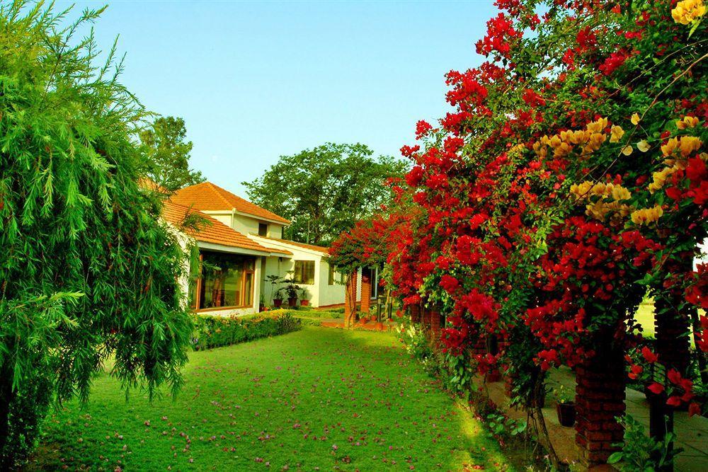 Naturoville Ayurvedic And Yoga Retreat 4* Rishikesh