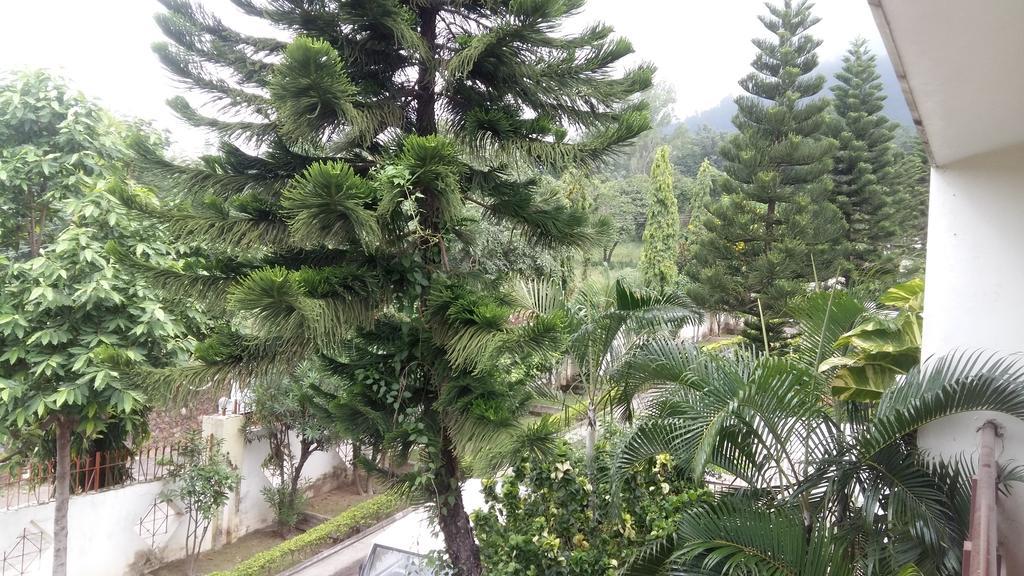High View - * Rishikesh