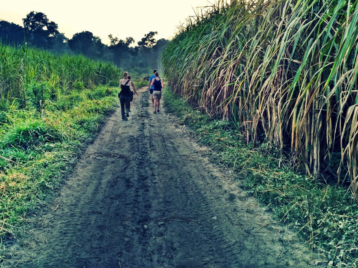Farm stay Nature Care Village- Rajaji National Park *