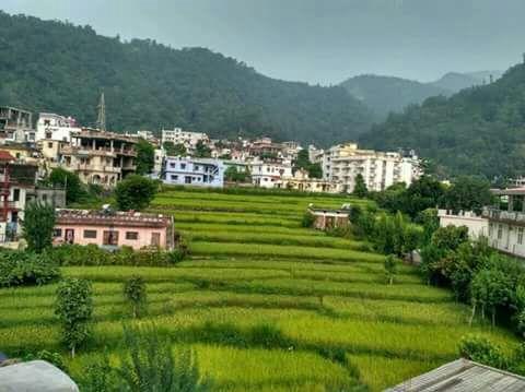 Hotel Ganges View 3*