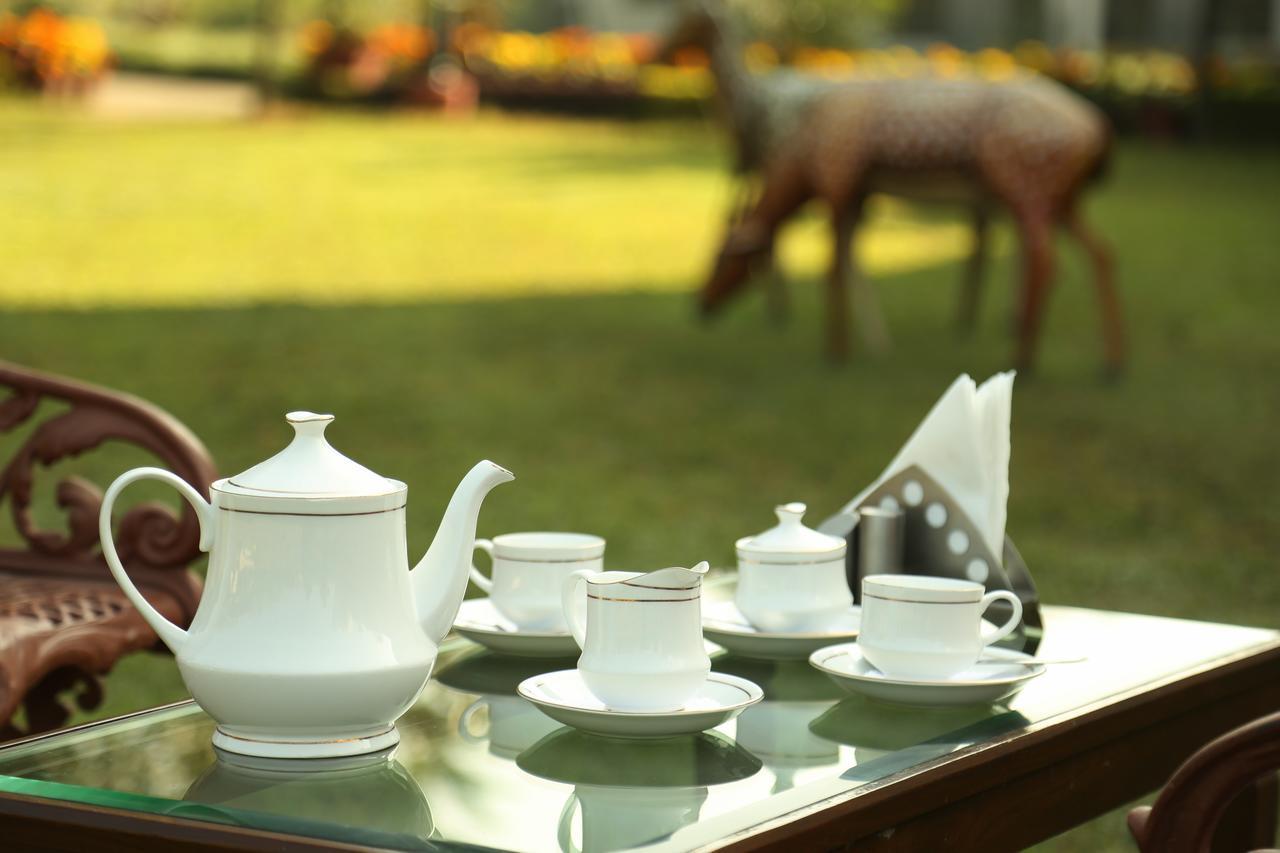 Naturoville Ayurvedic And Yoga Retreat Rishikesh