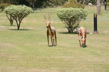 Naturoville Ayurvedic And Yoga Retreat 4*