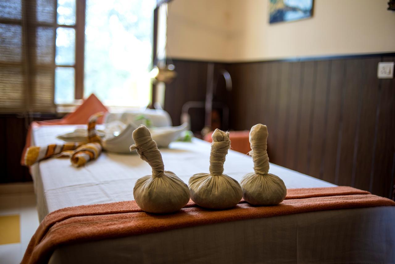 Hotel Ganga Vatika Ayurveda Bhavan 3*