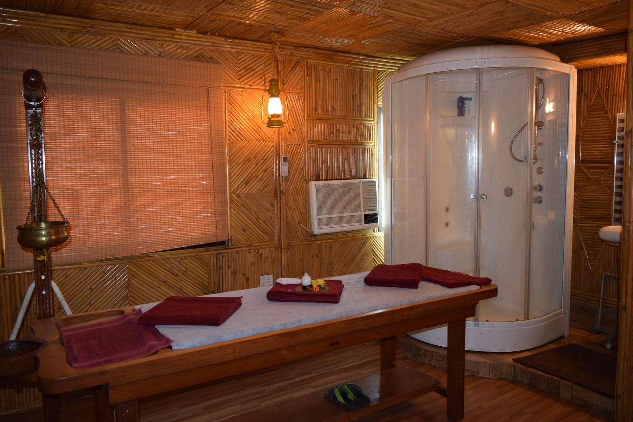 Hotel Raj Palace 3*