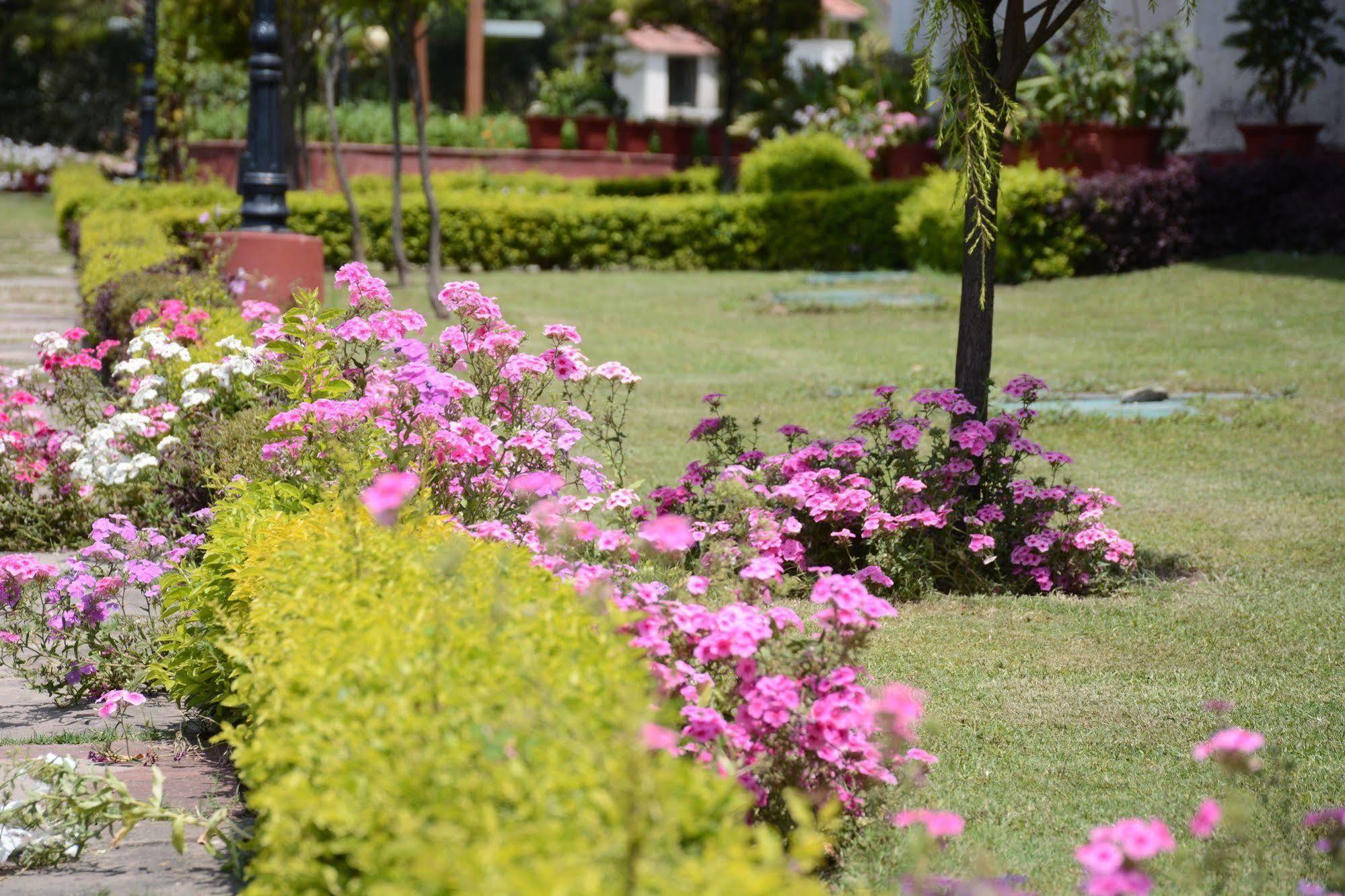 Resort Naturoville Ayurvedic And Yoga Retreat 4*