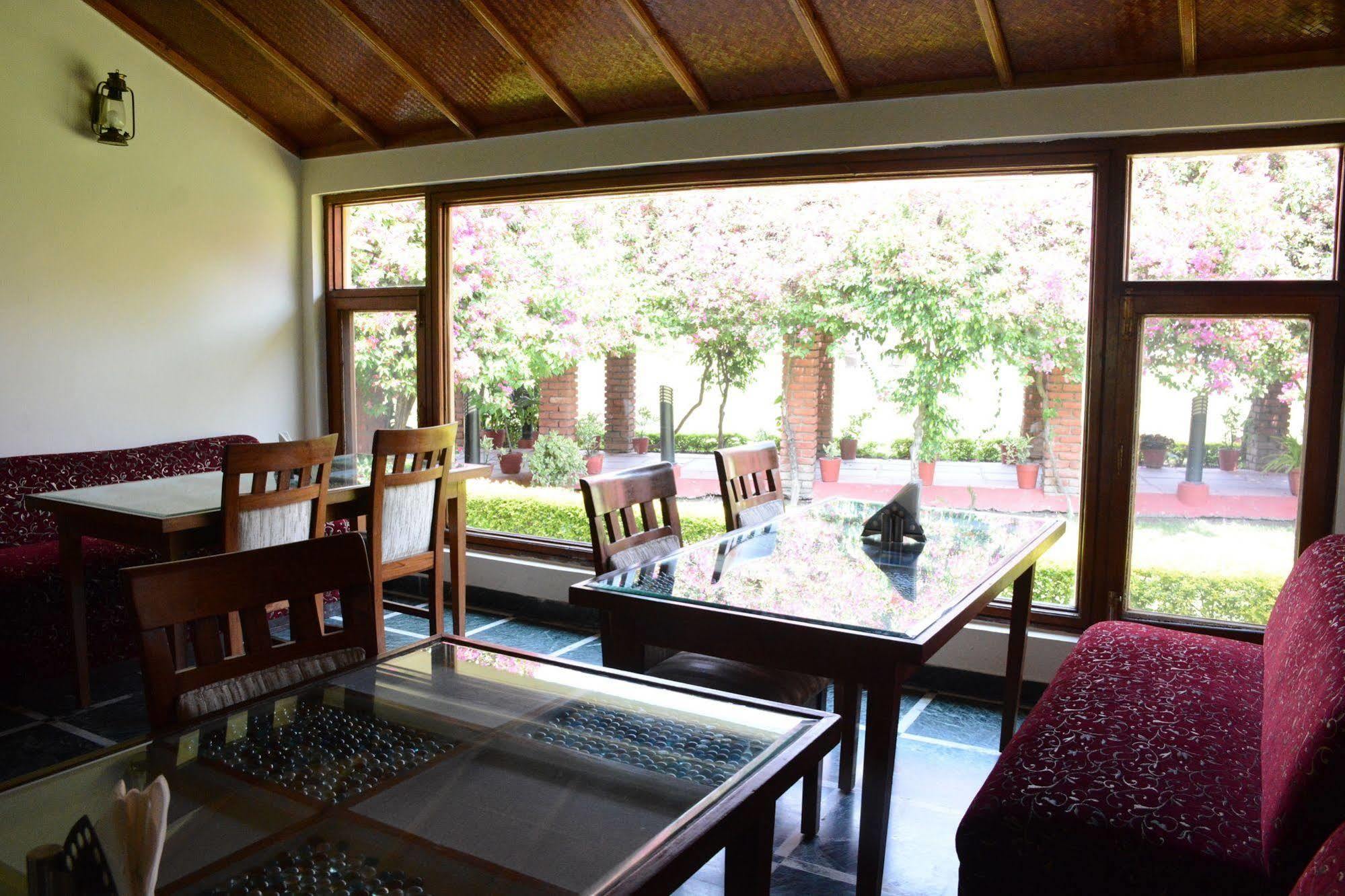 Naturoville Ayurvedic And Yoga Retreat Resort Rishikesh