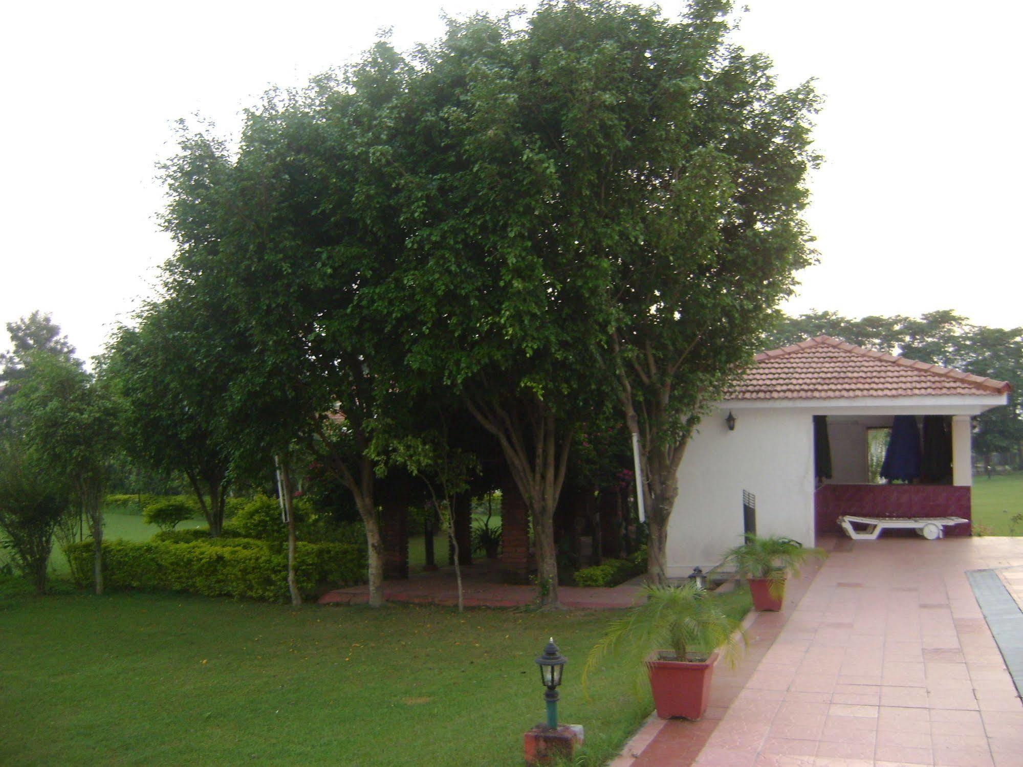 Resort Naturoville Ayurvedic And Yoga Retreat Rishikesh