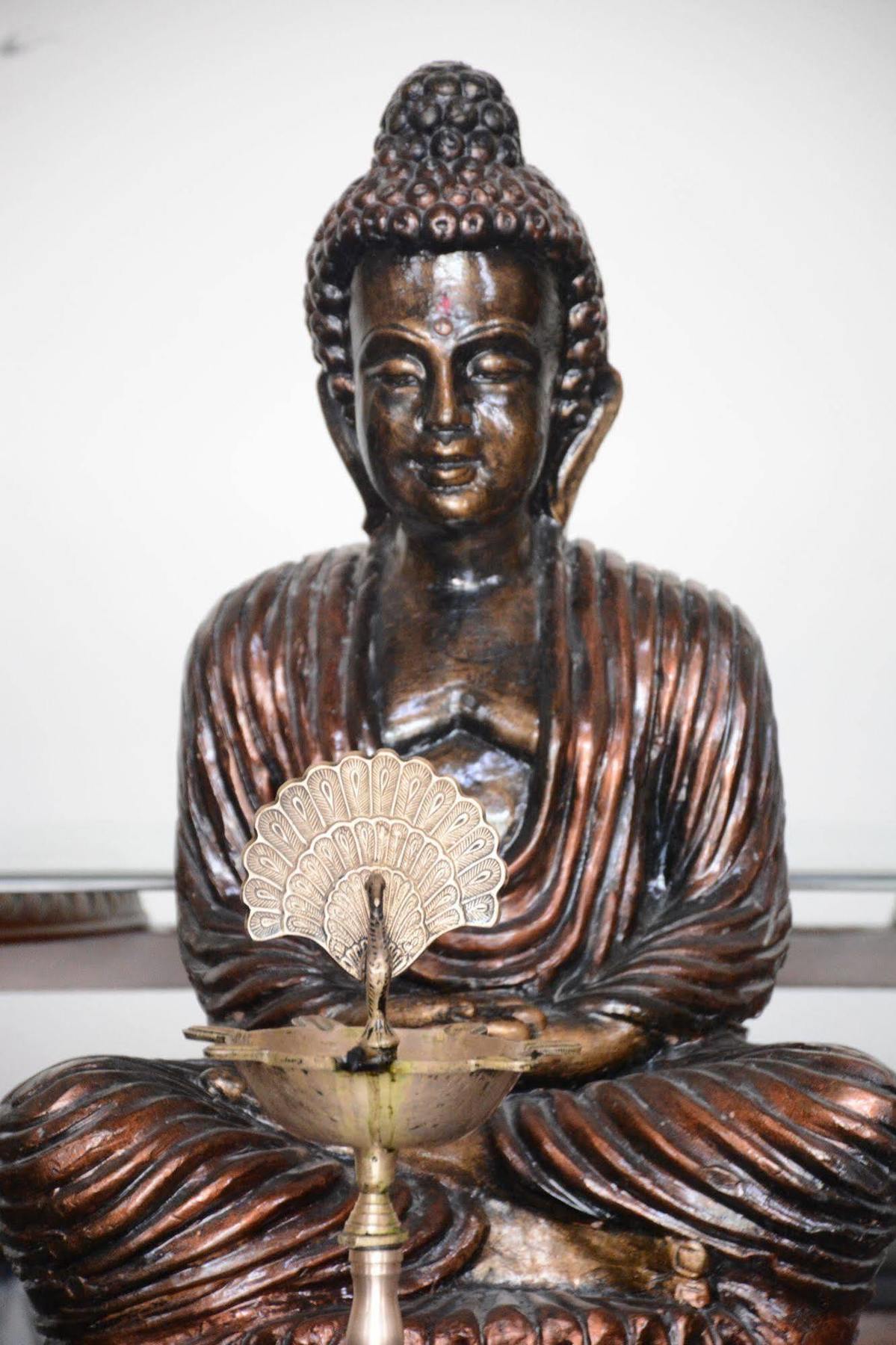 Naturoville Ayurvedic And Yoga Retreat Resort Rishikesh