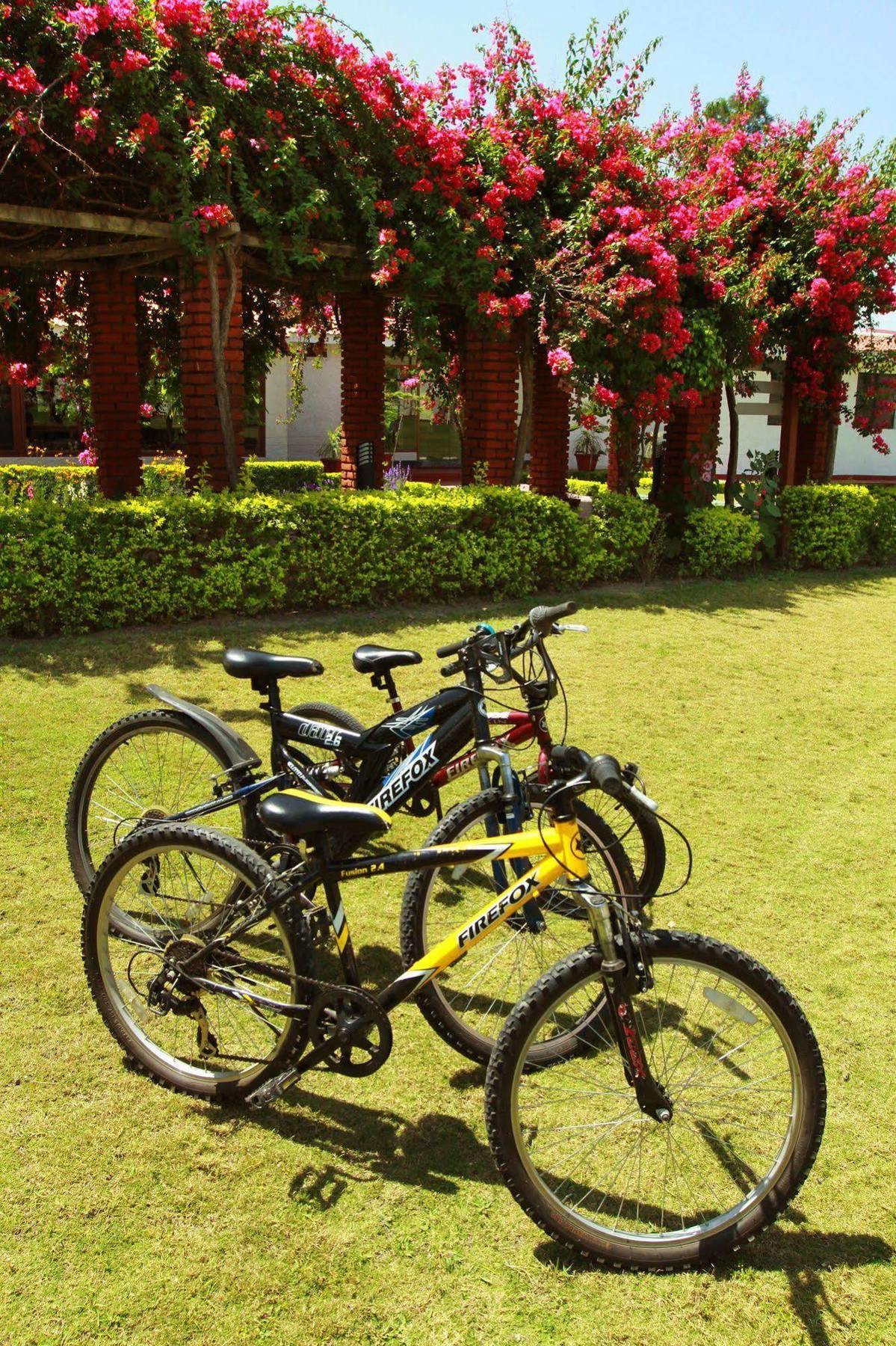 Naturoville Ayurvedic And Yoga Retreat 4* Rishikesh