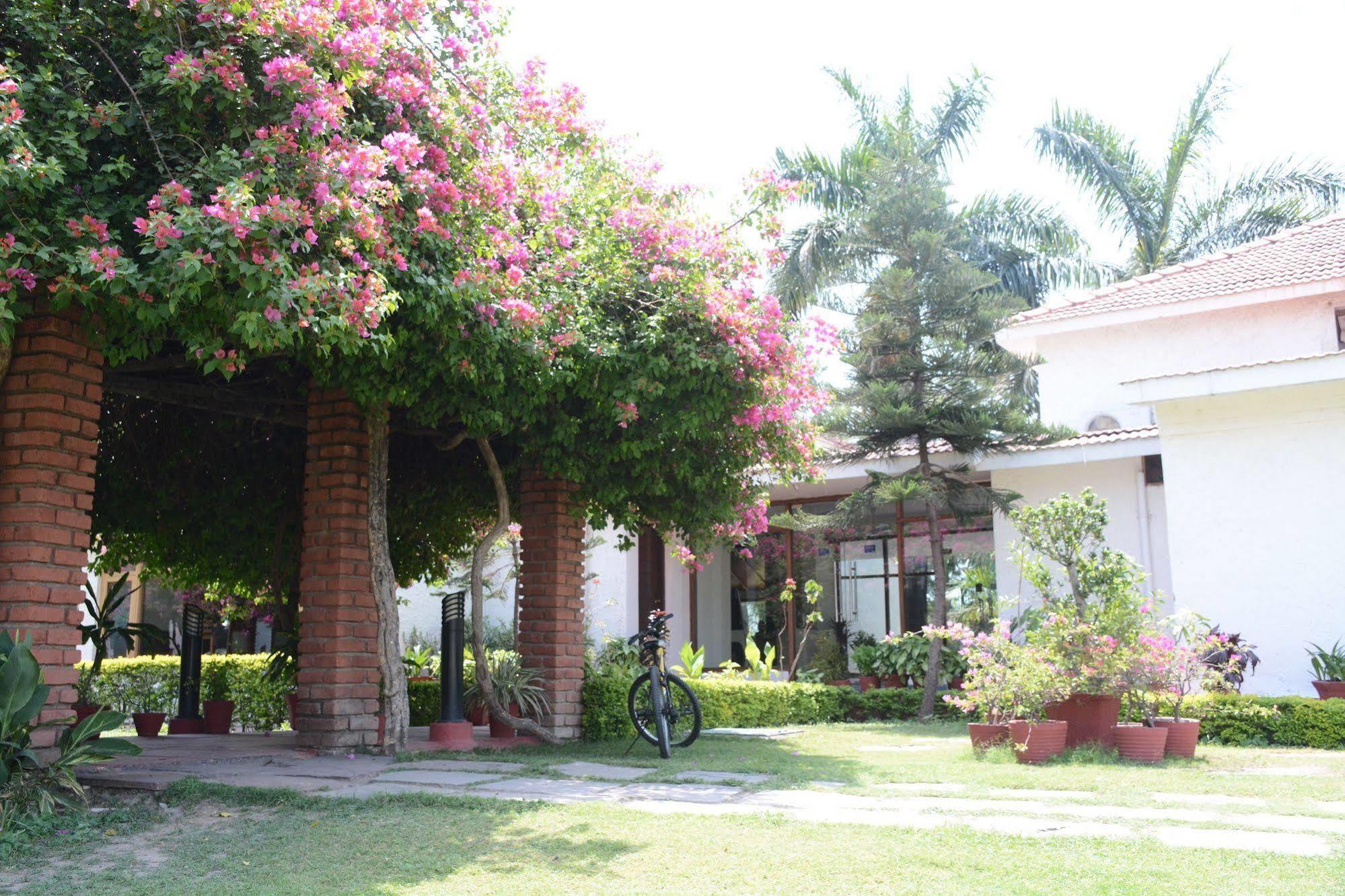 Naturoville Ayurvedic And Yoga Retreat 4* Rishikesh