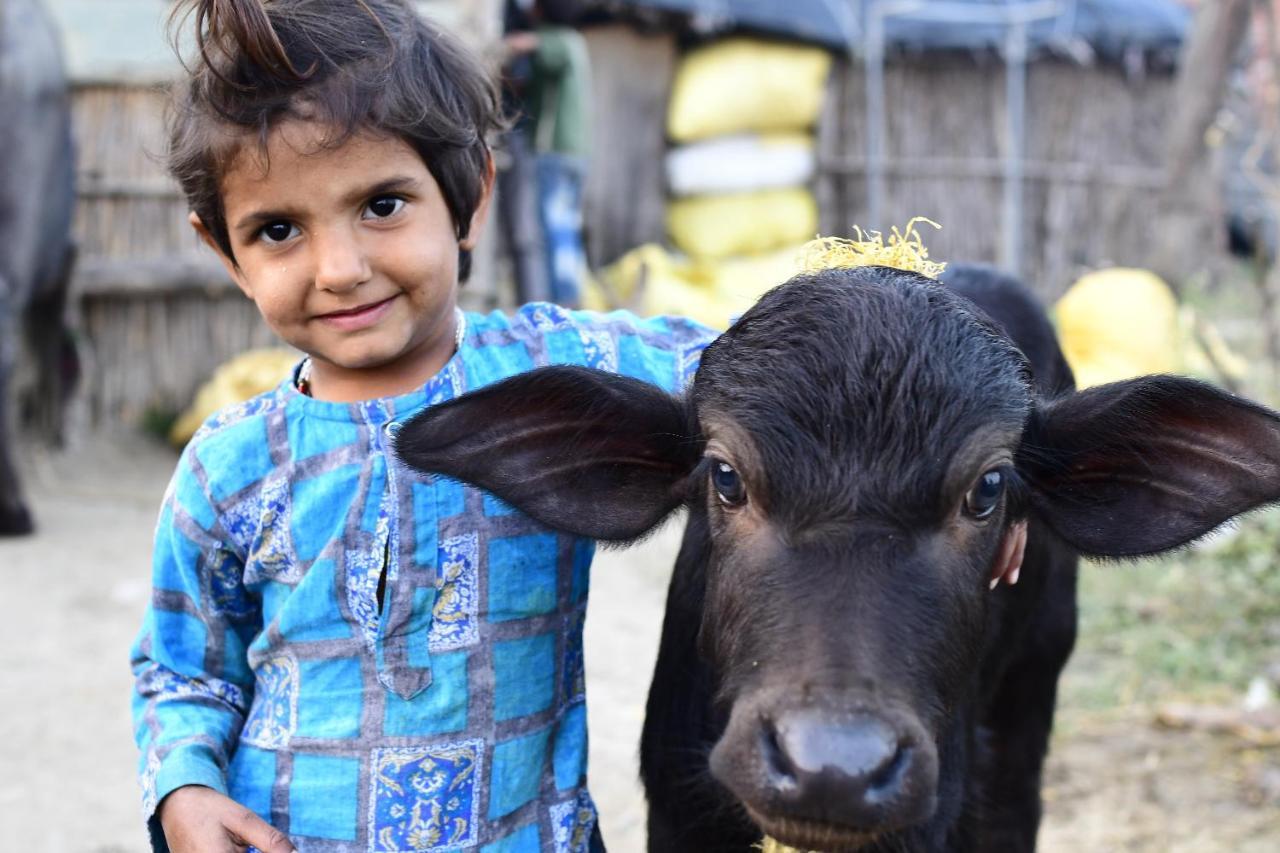 Nature Care Village- Rajaji National Park Farm stay *