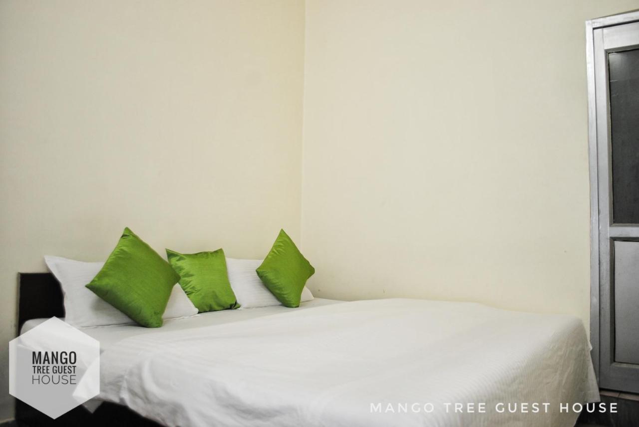 Mango Tree 2*