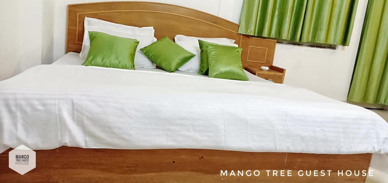 Mango Tree 2*