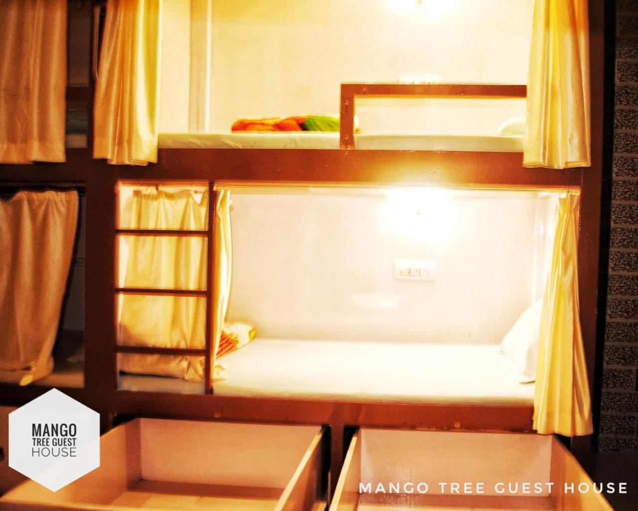 Mango Tree