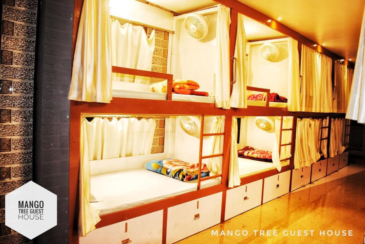 Mango Tree Guest house Rishikesh
