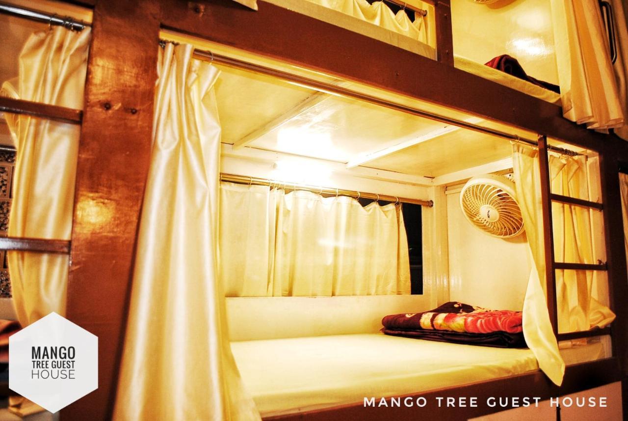 Mango Tree