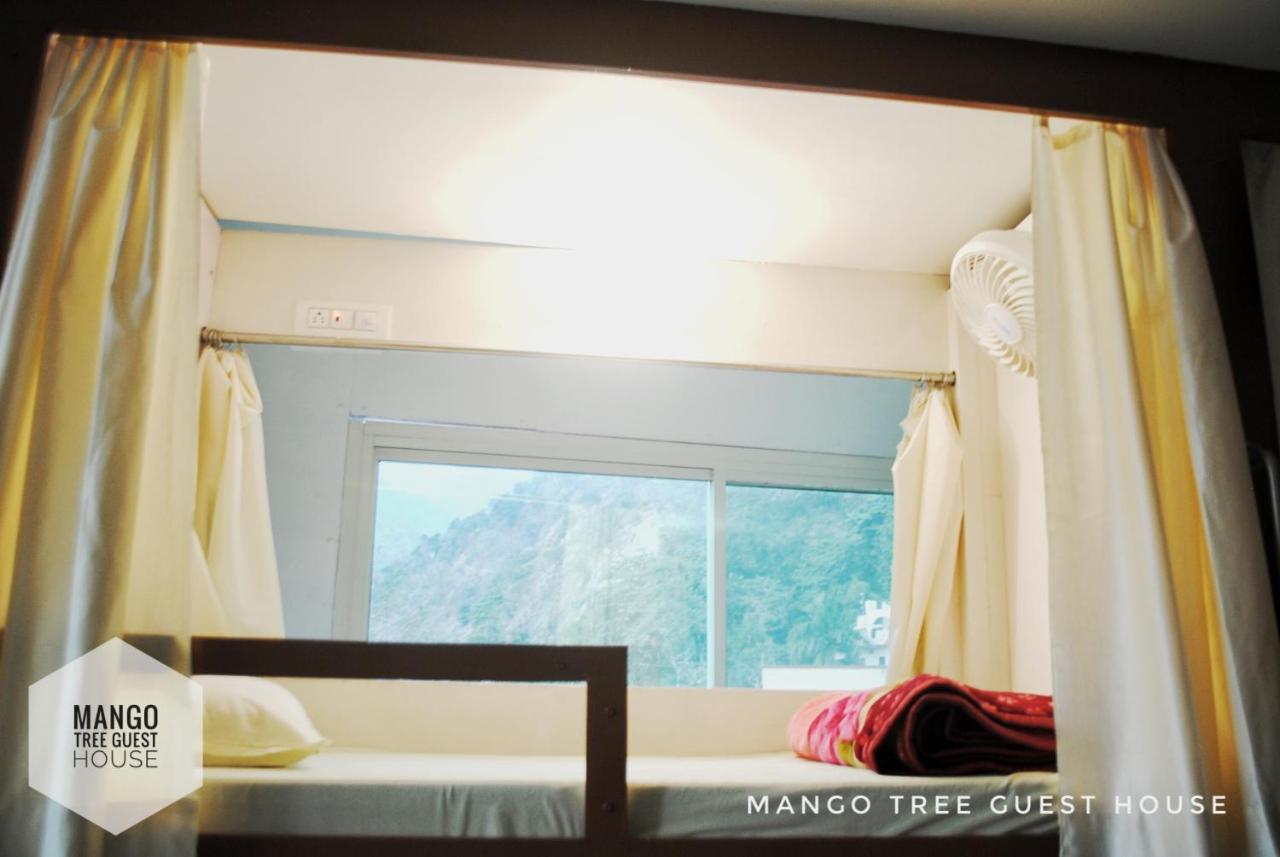 Guest house Mango Tree Rishikesh